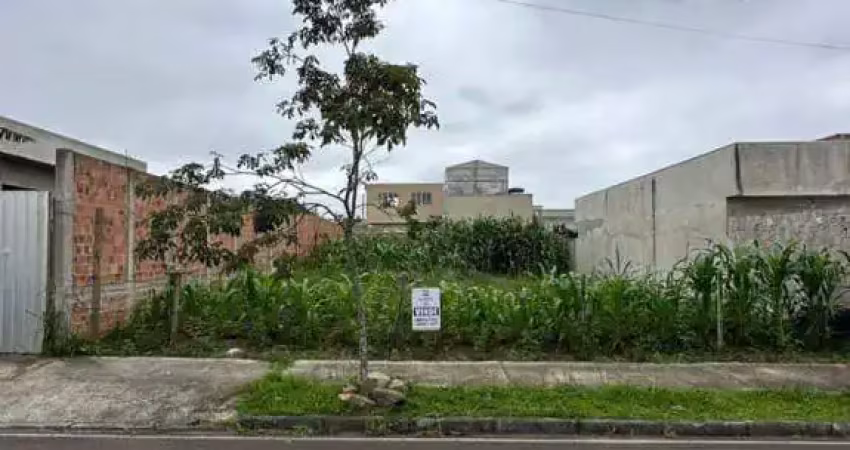 Terreno à venda na Pastor Sebastião Dama Soares, 00, Rio Pequeno, São José dos Pinhais