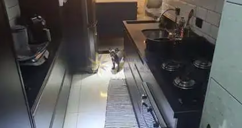 Apartamento 02 dorm. em chácara califórnia  -  são paulo