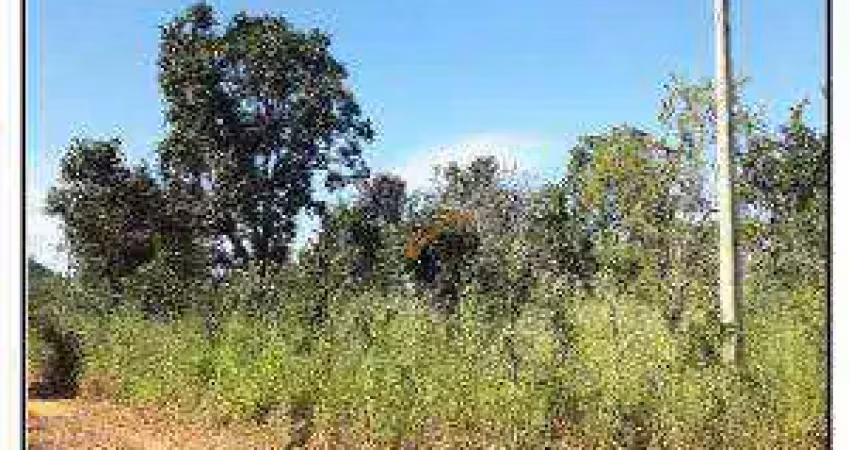 Terreno à venda, 2.229 m² por r$ 163.716 - parque alvorada ii - luziânia/go
