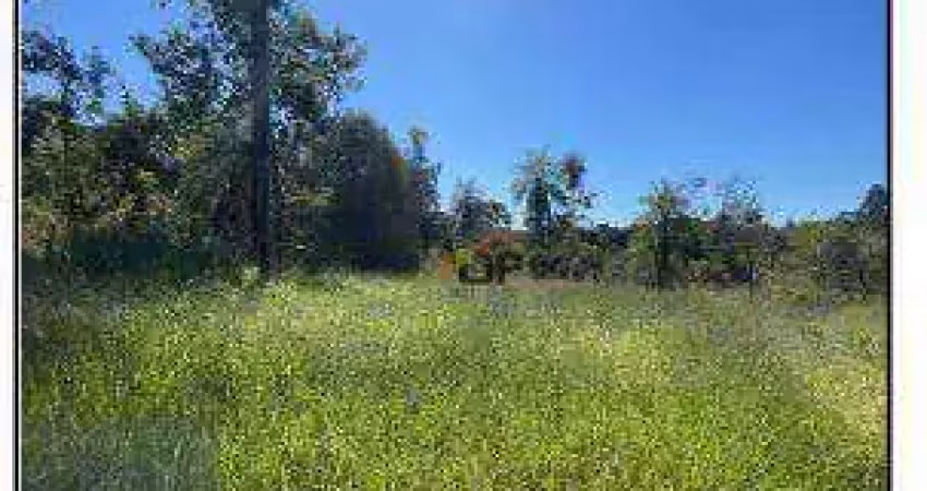 Terreno à venda, 3.130 m² por r$ 154.000 - parque estrela dalva x - luziânia/go