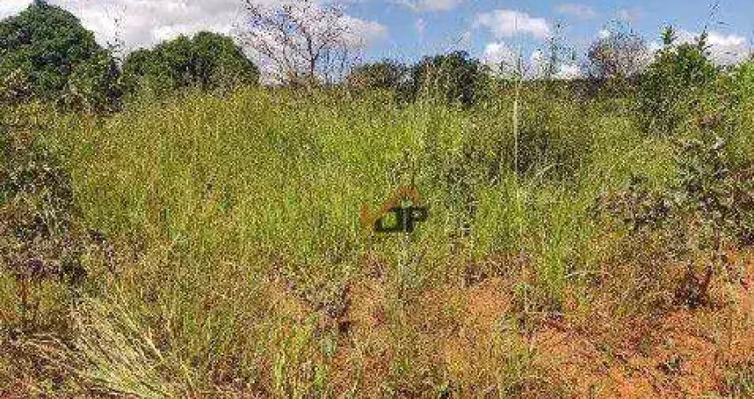 Terreno à venda, 5.000 m² por r$ 284.062 - parque alvorada ii - luziânia/go