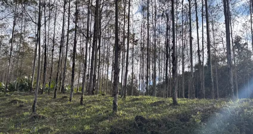Chácara / sítio à venda em Alto Cedros, Rio dos Cedros 