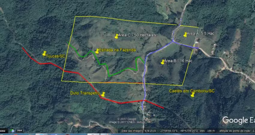 Chácara / sítio à venda na Área Rural, Área Rural de Camboriú, Camboriú