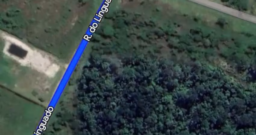 Terreno à venda na Rua Geral do Forte, Praia do Ervino, São Francisco do Sul