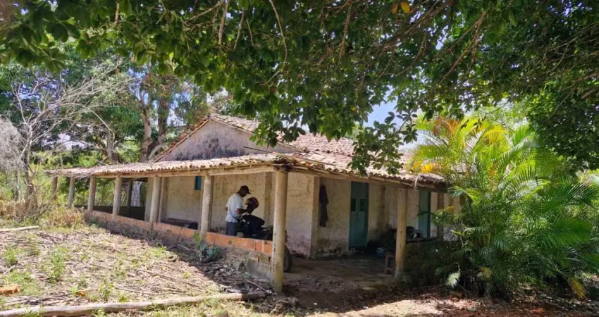 Fazenda para Venda em Mata de São João, Curralinho