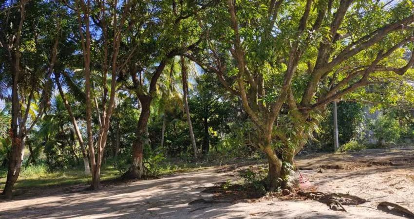 Terreno para Venda em Camaçari, Guarajuba