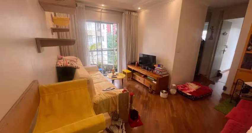 Apartamento 2 dormitorios - portal dos bandeirantes - fase 4