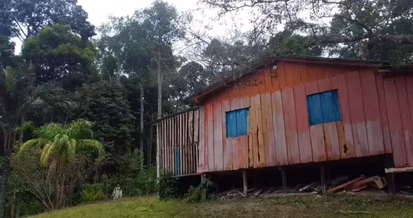 Sítio aconchegante na br 174, km 15, várias árvores frutíferas