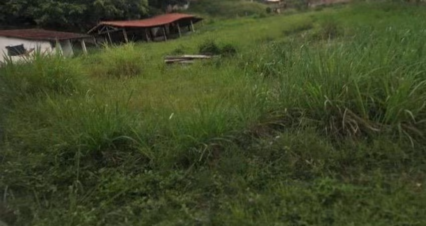 Lote para Venda em Barra Mansa / RJ no bairro Boa Sorte
