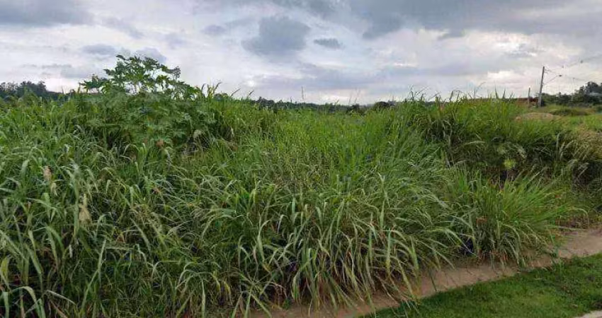 Terreno residencial à venda, pinheirinho, vinhedo - te0760.