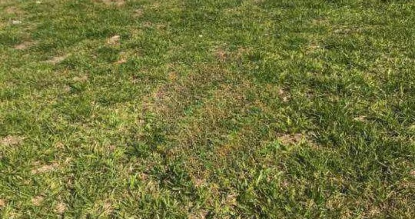 Terreno à venda, Jardim Novo Mundo, Jundiaí - SP