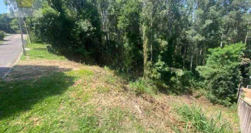 Terreno à venda- Condomínio Vinhas da Vista Alegre - Vinhedo/SP