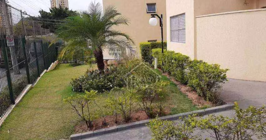 Apartamento Residencial à venda, Vila Sonia, Valinhos - AP1343.