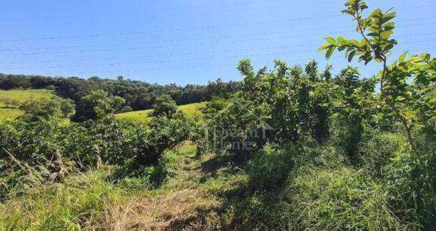 Área Rural à venda, Morro das Pedras, Valinhos - AR0088.