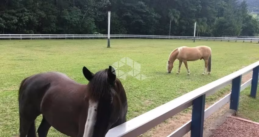 Terreno à venda na Estrada do Quilombo, 1000, Lomba Grande, Novo Hamburgo