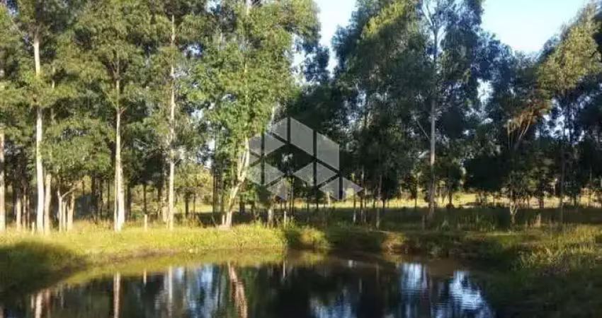 Terreno à venda na Estrada do Quilombo, 1641, Feitoria, São Leopoldo