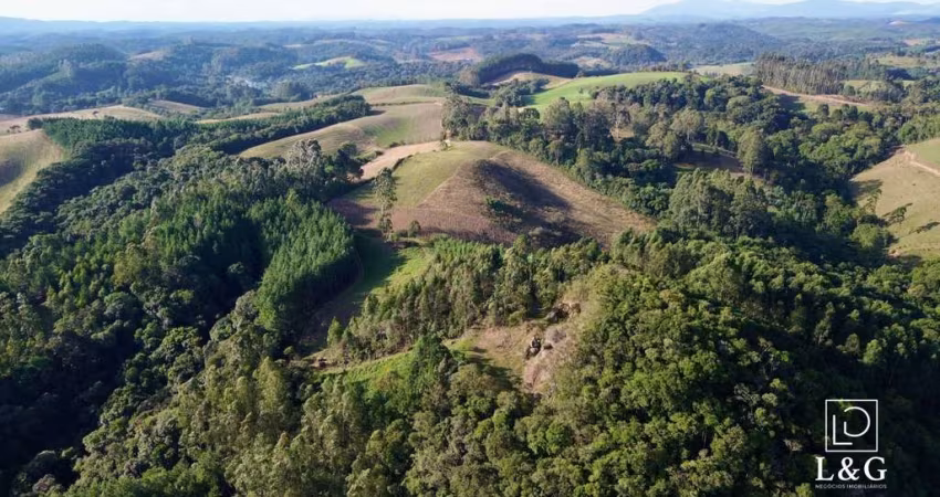 Terreno para Venda em Campo Alegre, Bateias de Cima