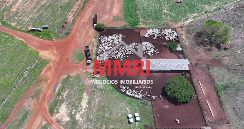 Fazenda à venda na Zona Rural, Paranatinga 