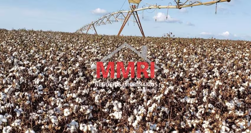 Fazenda espetacular com 893,72 alqueires à venda em Paranapanema-SP - Área Rural de alto potencial para soja e outros plantio com facio acesso Rodovia