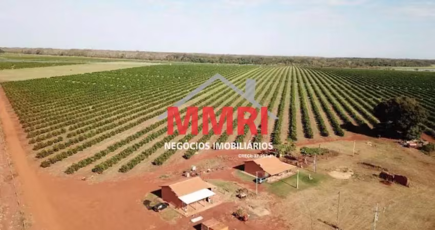 Fazenda à venda no Patrimônio Novo, Votuporanga 