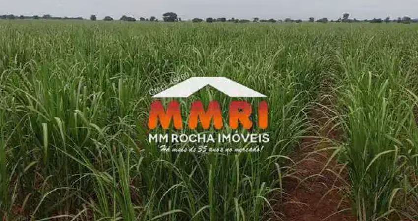 Fazenda à venda na Cidade Miguel Badra, Suzano 