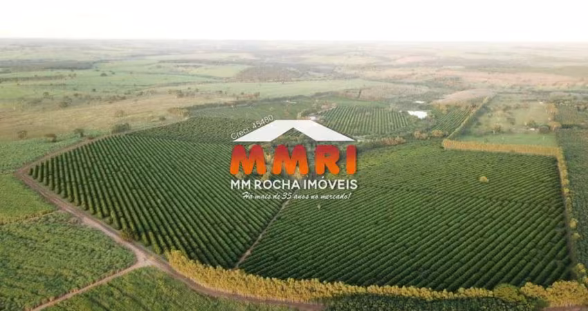 Fazenda à venda no Centro, Marília 