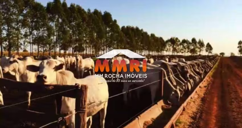 Fazenda à venda no Centro, Presidente Prudente 