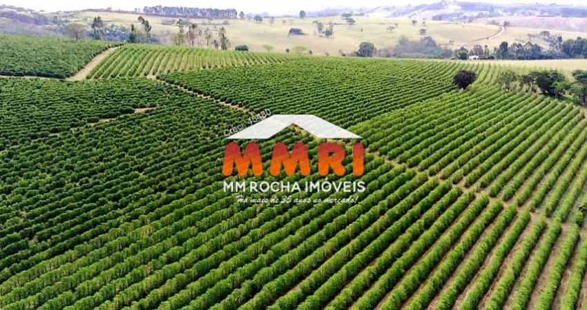 Fazenda de Café em São Sebastião do Paraíso/MG