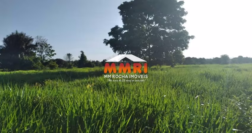 Fazenda de Pecuária em Alenquer/PA