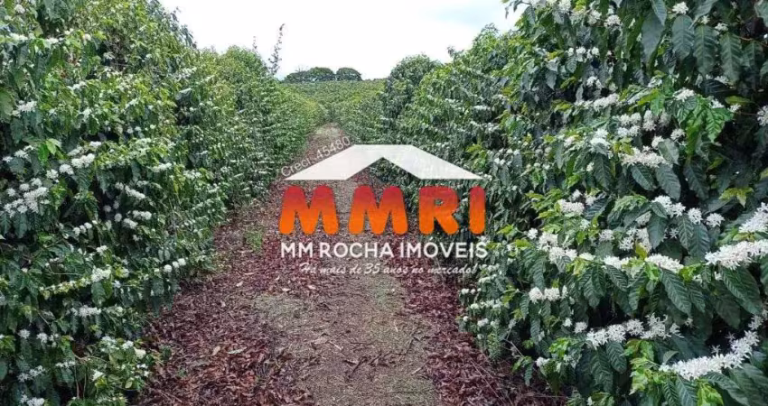 Fazenda de Café à venda em Luminárias/MG