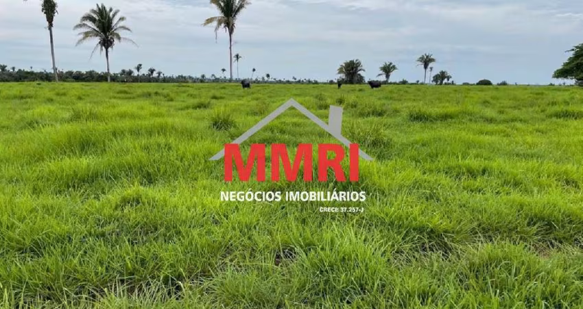 Fazenda à Venda na Região de Tocantins