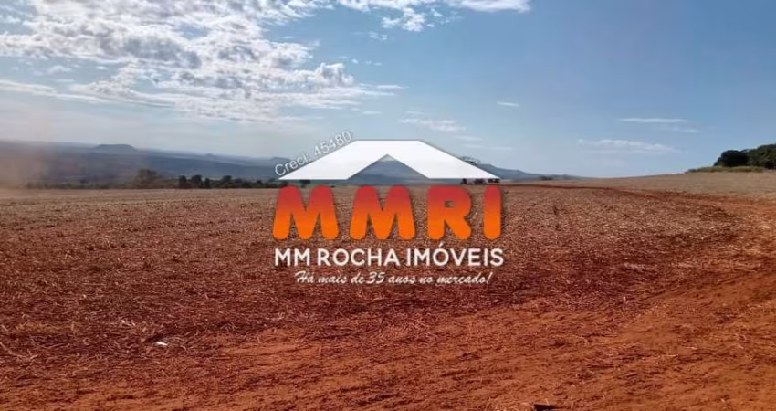 Fazenda de Cana à Venda na região de Mococa/SP