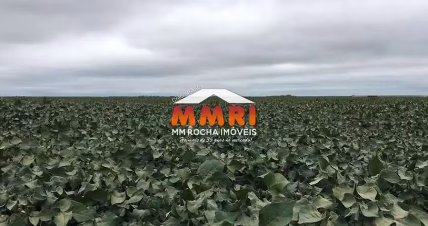 Fazenda para Agricultura entre Paricis e São José do Rio Claro/MT