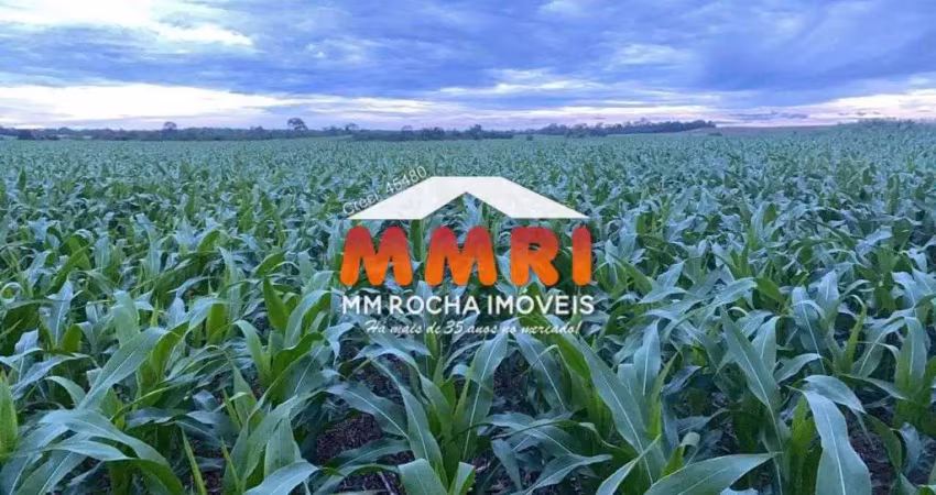 Fazenda na divisa de goiais/mato grosso e tocantins