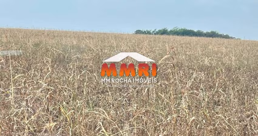 Fazenda de Lavoura em Mato Grosso