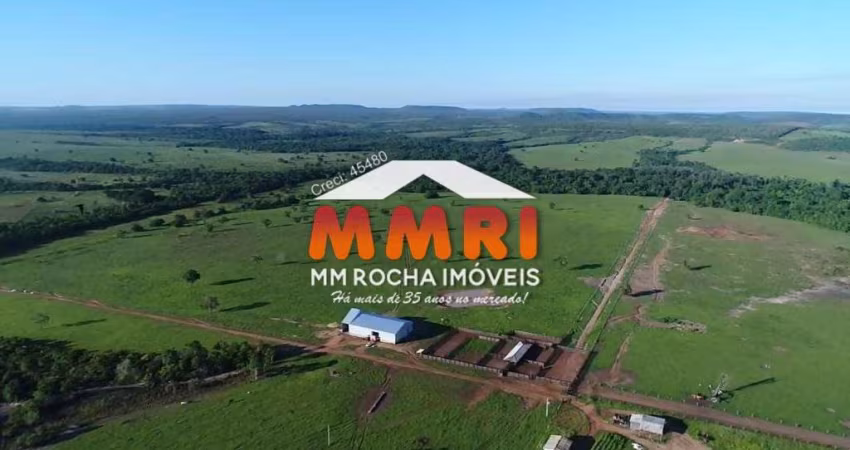 Fazenda à Venda em Paranatinga/MT