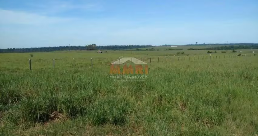 Fazenda, Zona Rural, Alvorada D'Oeste - R$ 30 mi, Cod: 3905