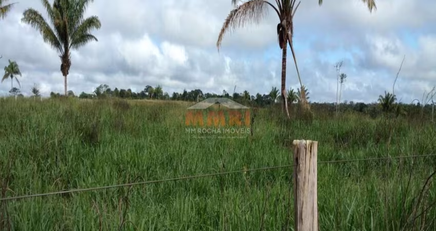 Fazenda, Zona Rural, Pimenta Bueno - R$ 10 mi, Cod: 3869