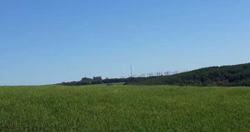 Fazenda á venda Área Rural de Itapeva/SP