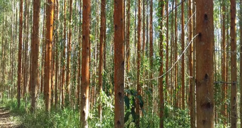 Fazenda, ZONA RURAL, Pilar do Sul - R$ 9.6 mi, Cod: 3681