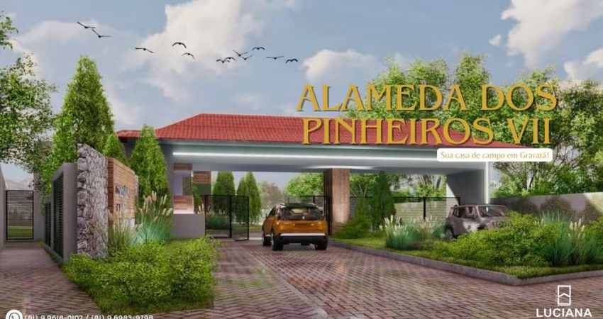 LANÇAMENTO ALAMEDA DOS PINHEIROS VII - Sua casa de campo em Gravatá!