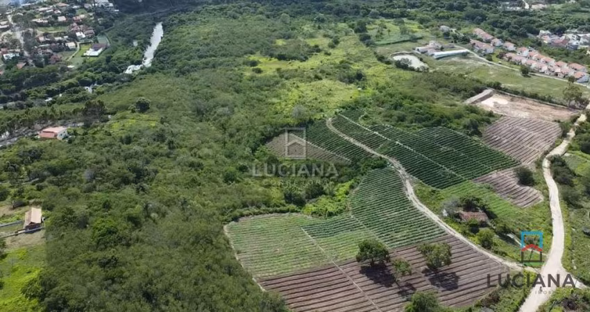 Propriedade com 33 Hectares a 1.300 metros da Via Local