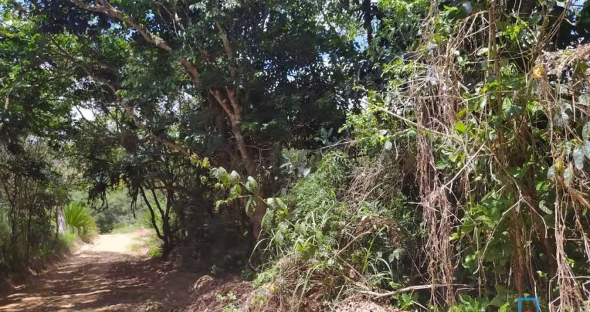 Propriedade com 13,2 hectares em Gravatá - Várias Nascentes