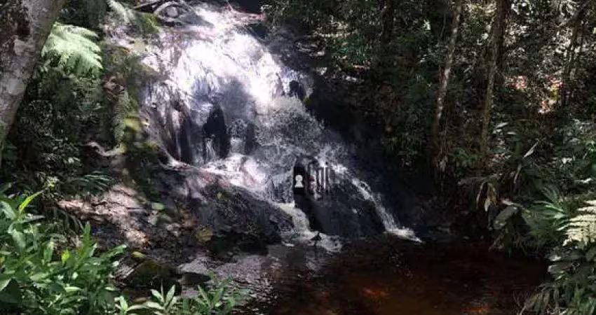 Sítio com 3 dormitórios à venda, 144000 m² por r$ 900.000,00 - rio preto - rio preto/mg
