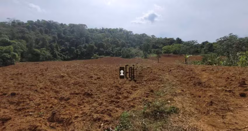 Sítio à venda, 620000 m² por r$ 500.000,00 - piau - piau/mg