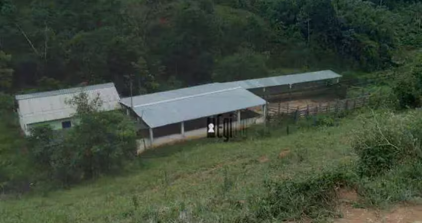 Sítio à venda, 263200 m² por r$ 849.000,00 - piau - piau/mg
