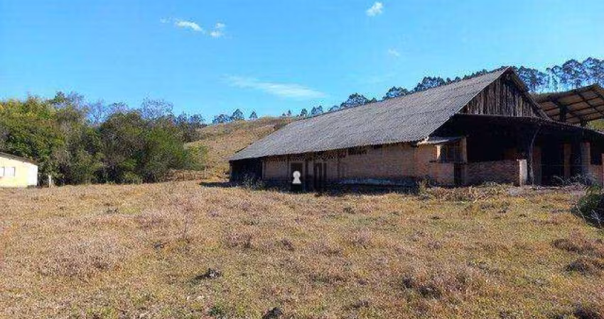 Sítio à venda, 72500 m² por R$ 1.050.000,00 - Centro - Barbacena/MG