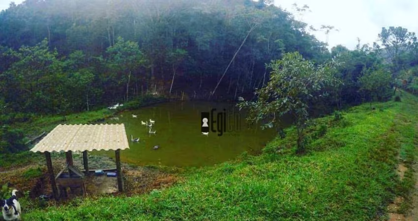 Sítio com 3 dormitórios à venda, 290000 m² por R$ 650.000,00 - Sem Bairro - Lima Duarte/MG