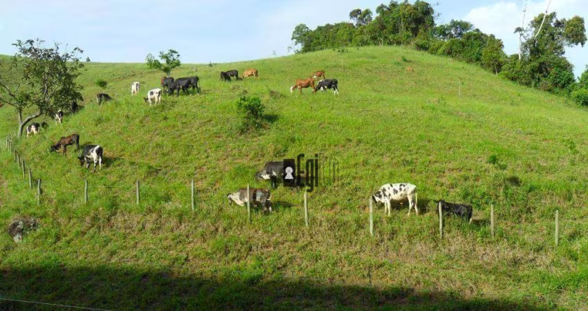 Sítio com 4 dormitórios à venda, 175000 m² por R$ 700.000,00 - Ewbank Da Camara - Ewbank da Câmara/MG