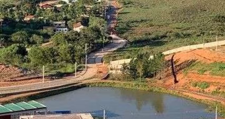 Terreno com excelente topografia em rua plana